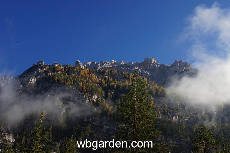 wbgarden alps 1.JPG